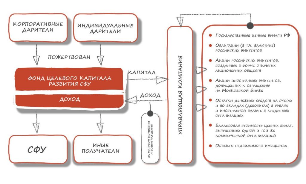 Форма целевых фондов. Финансы являются средством платежа целевыми фондами.